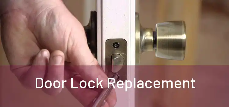  Door Lock Replacement 
